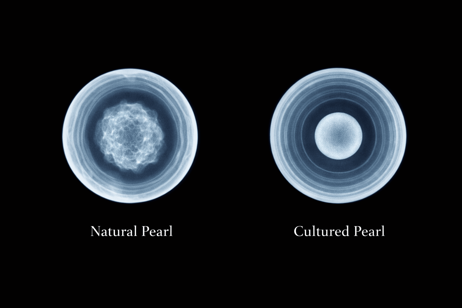 pearlsonly-blog-110-image-3-pearl - Como distinguir naturais das cultivadas - Joias de Pérolas - pearlsonly