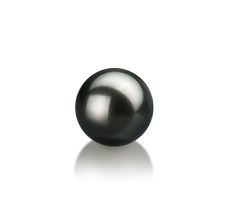 8-9mm Akoya japonesa Pérola Solta em Preto