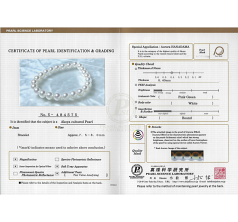6.5-7mm Akoya japonesa Pulseira em Hanadama 7,5 polegadas Branco
