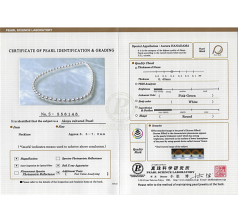 9-9.5mm Akoya japonesa Colar em Pérolas Hanadama 16 polegadas Branco