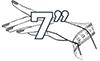 7 polegadas